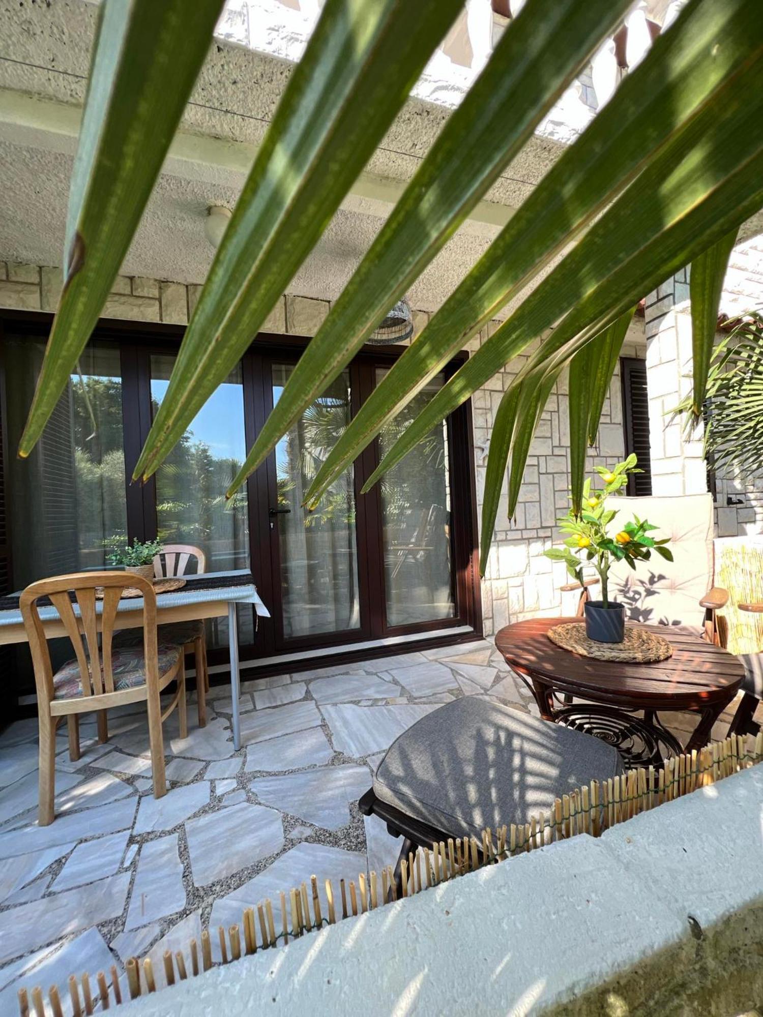 Apartment Villa Angelina, 70M From The Beach, Free Parking Novigrad  Exterior photo